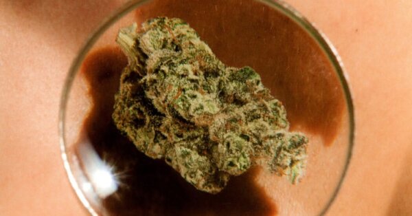 https://www.nytimes.com/2026/08/24/opinion/weed-marijuna-children-regulation.html?smid=fb-share&fbclid=IwZnRzaAT8AMZwZG9mBWZkaWQWUNPa_mWv1VtpDPThmZ5p1tm8gN0_nWV4dG4DYWVtAjExAHNydGMGYXBwX2lkCjY2Mjg1NjgzNzkAAR4Y-0sg8AZru32vDXJCR6BQPFkHggszQKhw96JZ0OeEF9O_-RQVK8EdCtZkKg_aem_mJxA_4MKQmQzzxaT1CglJQ